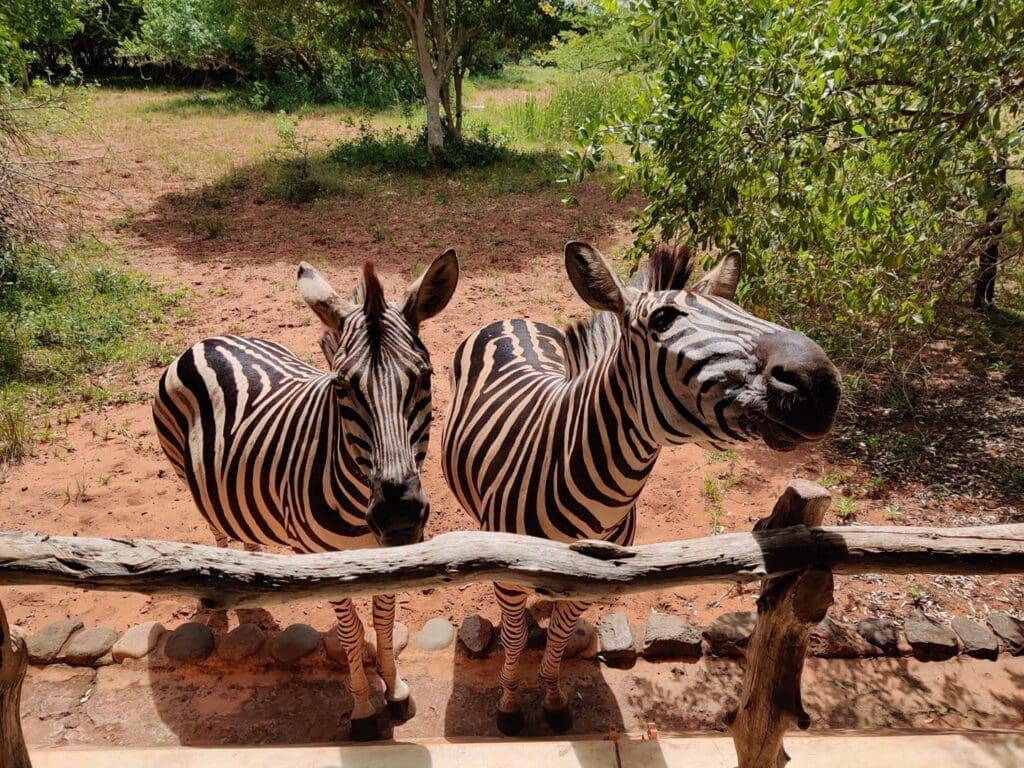 Leopard Walk Lodge