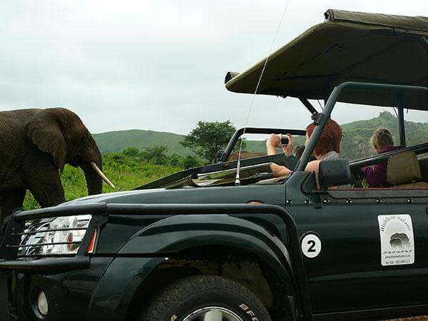 Romantic Honeymoon Destination in KZN