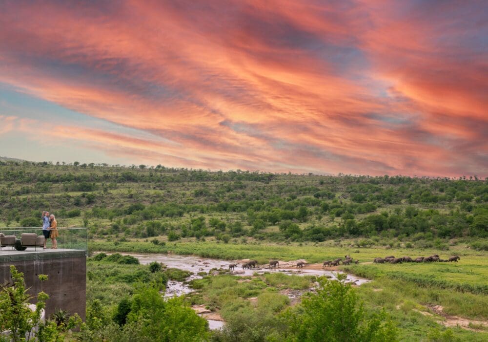 Vibrant sunset overlooking a valley with elephants crossing a river