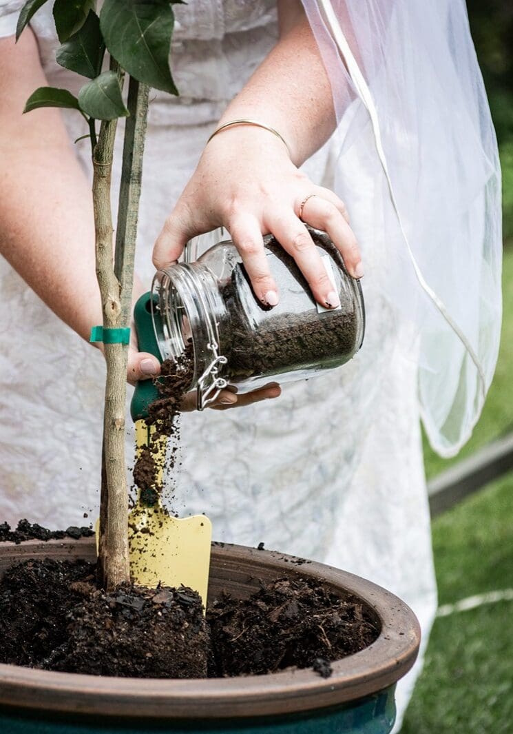 Tree planting ritual as part of a personalized wedding ceremony.